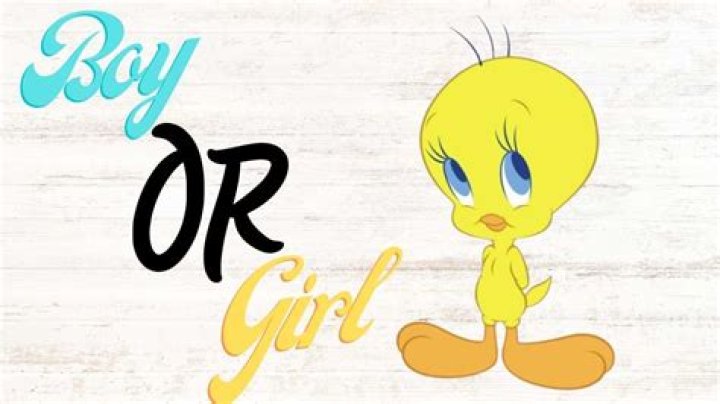 Boy Or Girl? – Hollywood Life