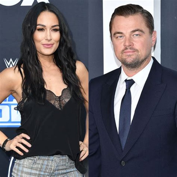 Brie Bella Slid Into Leonardo DiCaprio’s DMs For Attention – Hollywood Life