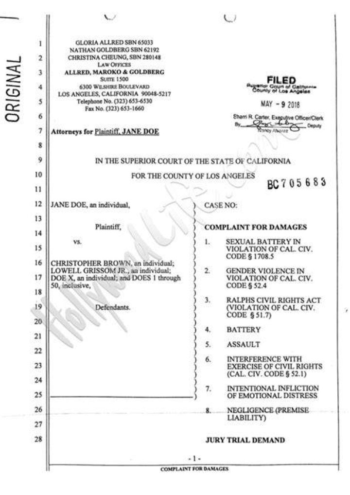 Chris Brown Sexual Assault Suit Court Docs — PICS