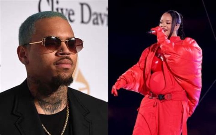 Chris Brown Still Has Feelings For Rihanna After Spicy Photo Comment – Hollywood Life