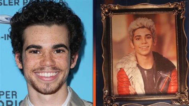 ‘Descendants 3’ Actor Honored After Death – Hollywood Life