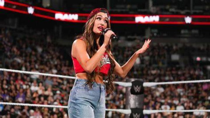 Eva Marie Says WWE Stars Nikki & Brie Bella Are ‘Staples’ To Wrestling – Hollywood Life