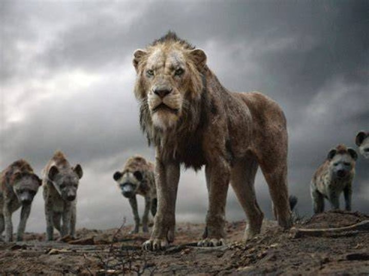 Everything We Know About The Prequel About Mufasa – Hollywood Life