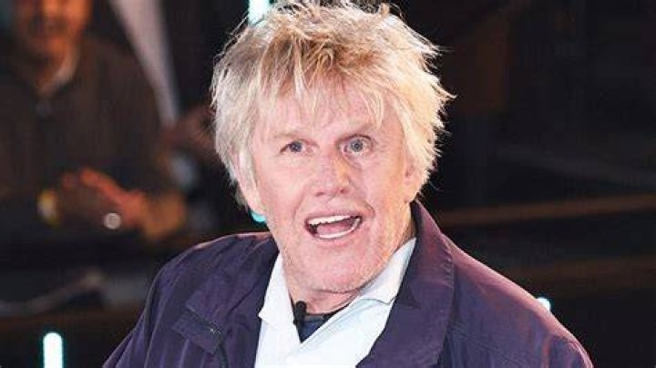 Gary Busey Denies Sexual Assault Allegations: Actor Insists ‘Nothing Happened’