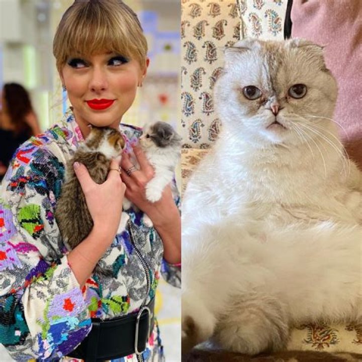 Hailey Baldwin Shows Love For Taylor Swift’s Movie ‘Cats’ Despite Her Feud With Justin Bieber