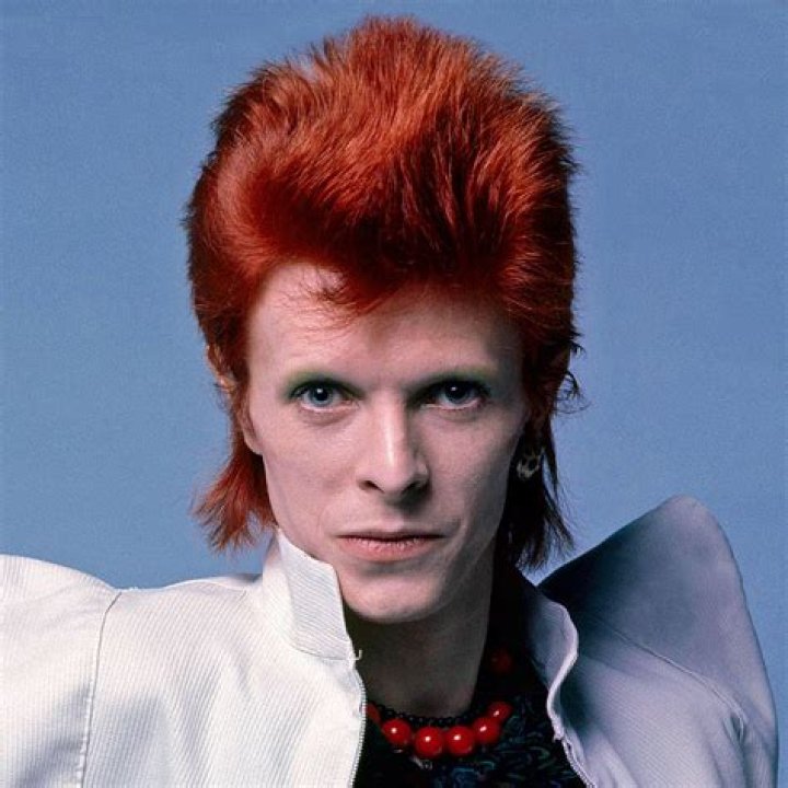 How To Recreate Her ‘David Bowie’ Haircut – Hollywood Life