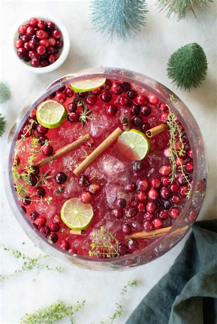 Jessie James Decker’s Christmas Punch Recipe From ‘Just Feed Me’ – Hollywood Life