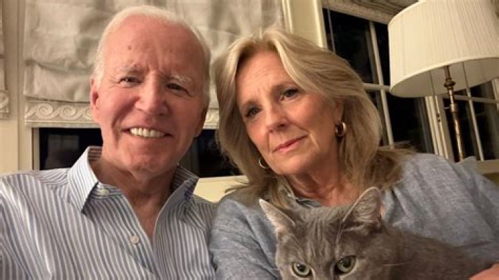 Joe & Jill Biden Introduce Their New Cat 1 Month After Debuting New Dog Commander — Photo
