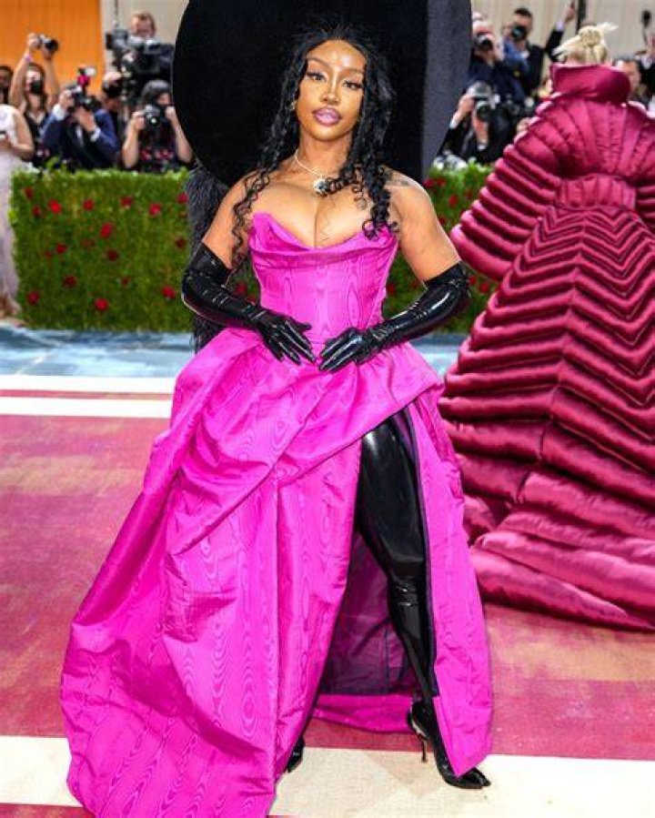 Justin Bieber Is Shirtless In SZA’s New Music Video ‘Snooze’ – Hollywood Life