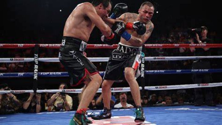 Mike Alvarado Defeated By Juan Manuel Marquez In Unanimous Decision