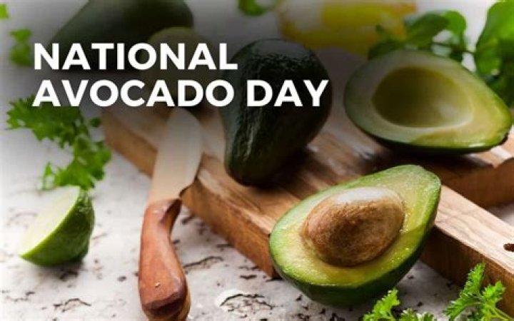 National Avocado Day – Pics