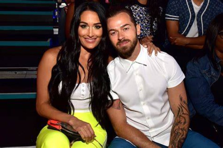 Nikki Bella Puts 33-Week Baby Bump On Display In Plunging Lavender Dress — Pics & Video