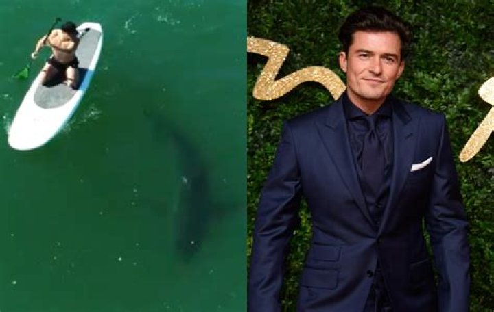 Orlando Bloom Paddleboards With A Great White Shark — Video – Hollywood Life