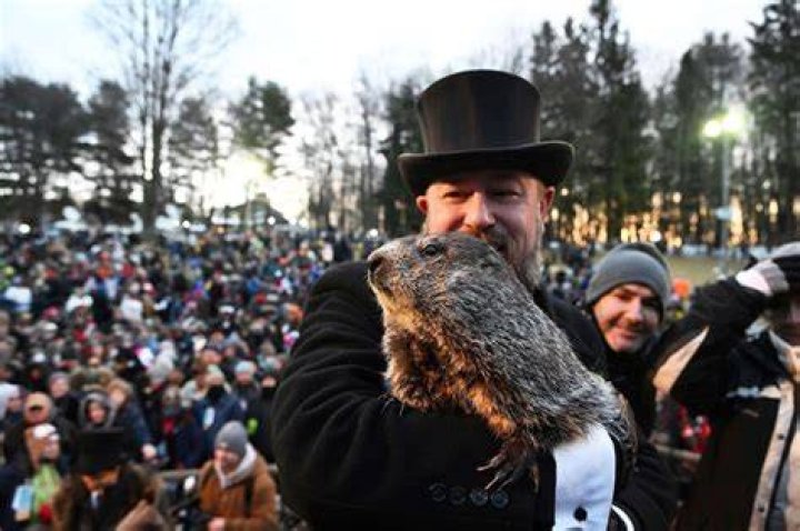 Pictures Of Weather Predicting Groundhog – Hollywood Life