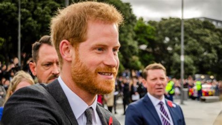 Prince Harry Admits Families, Like His Own, Miss Signs Of Mental Illness: People Are ‘Incredibly Good’ At Hiding