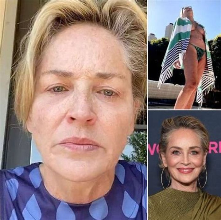 Sharon Stone Rocks Bikini At Home In Sexy New Instagram Photo – Hollywood Life