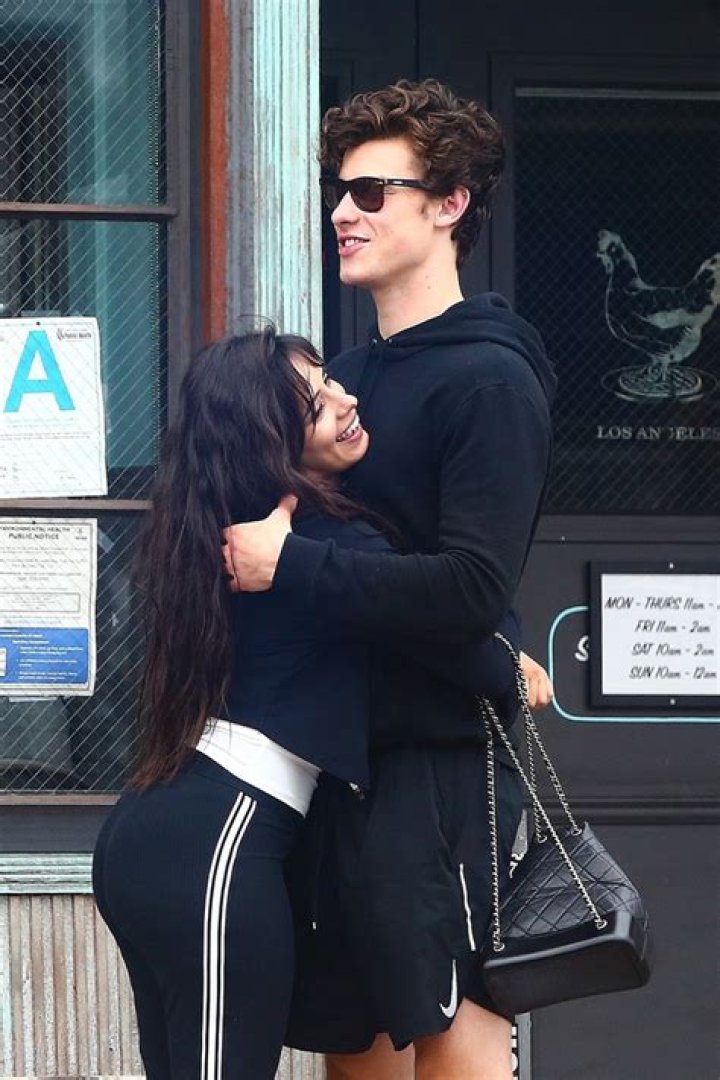 Shawn Mendes & Camila Cabello Are Quarantined Together In Miami – Hollywood Life