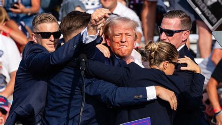 Sophia Bush & More Stars React To Trump’s COVID Diagnosis After He Downplays Virus: Is It Still A ‘Hoax’?