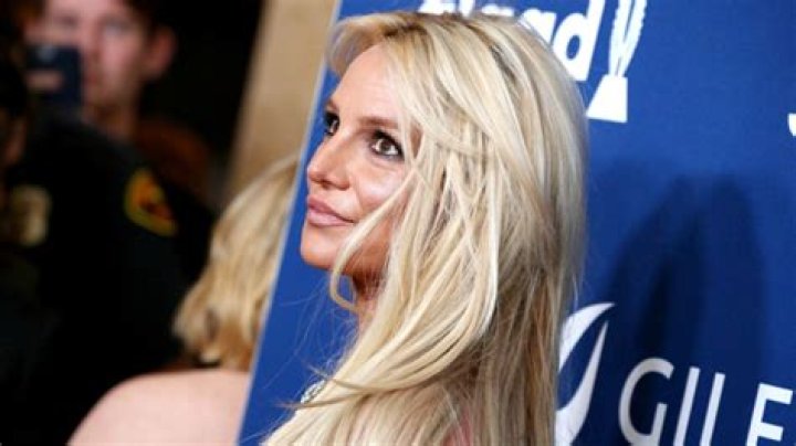 Who Is Jodi Montgomery? 5 Facts About Britney Spears’ Conservator – Hollywood Life